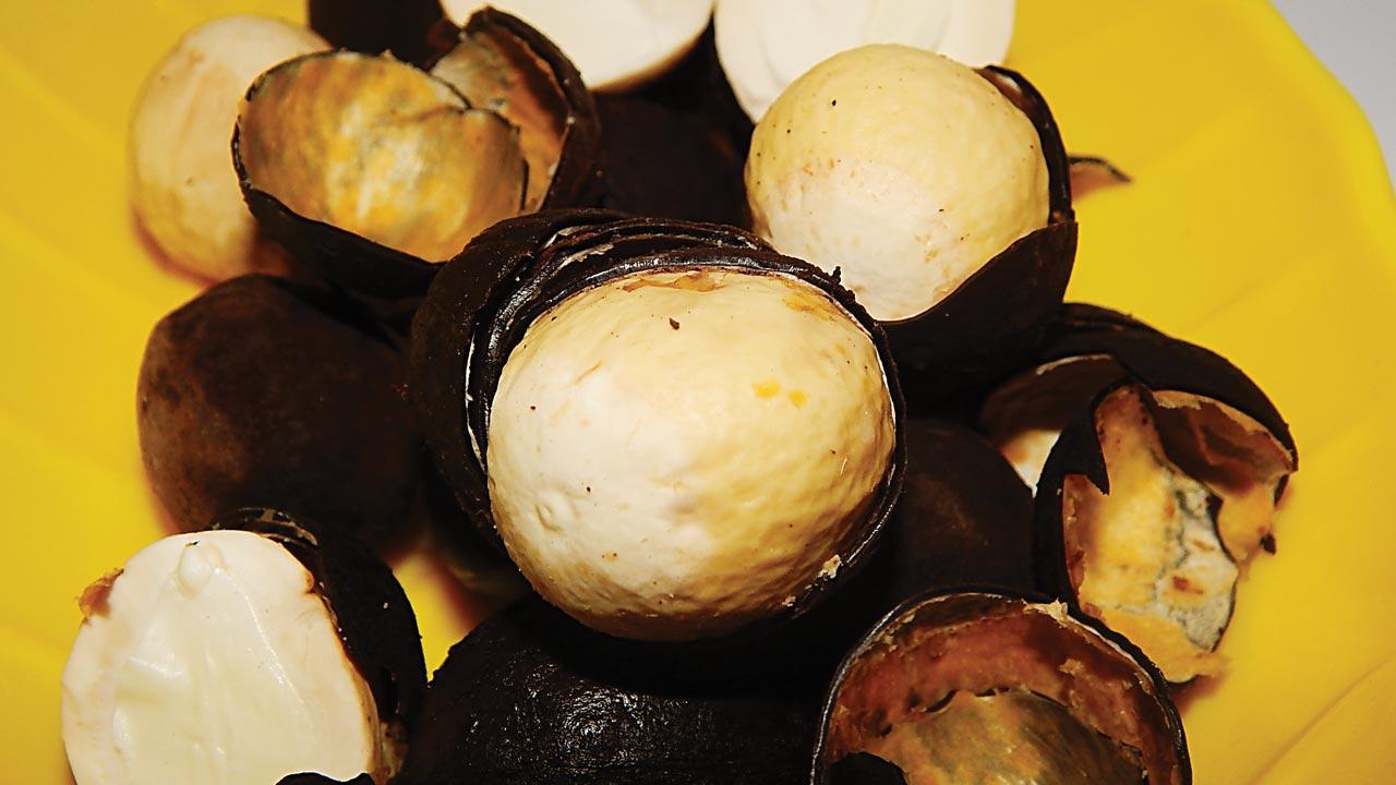 african-walnuts-1.jpg