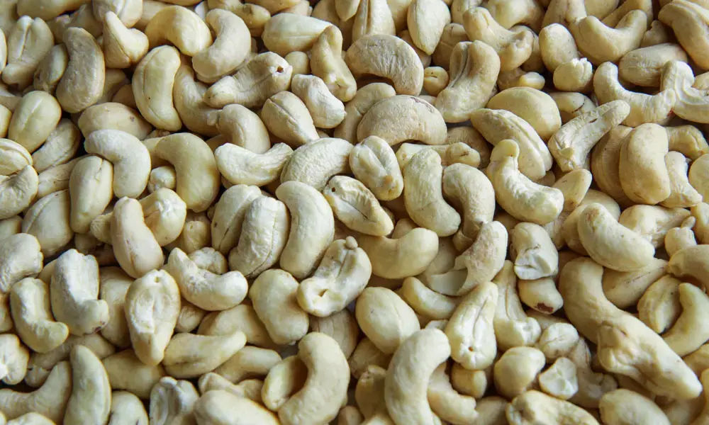 cashew-nuts.webp
