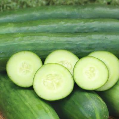 Is Cucumber Good for Weight Loss? Everything You Need to Know