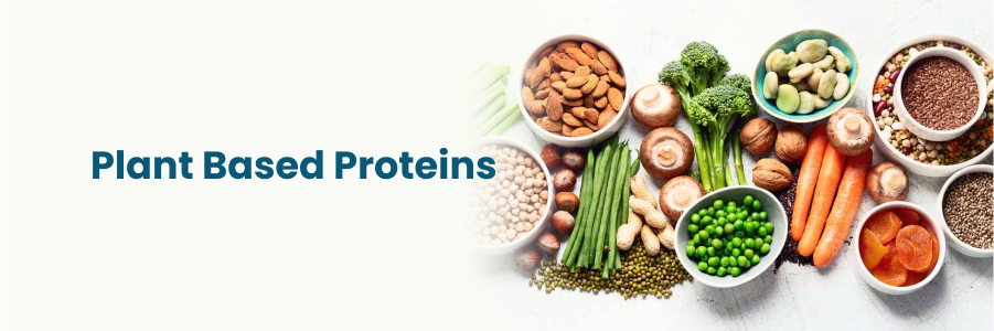 plant-based-proteins.webp