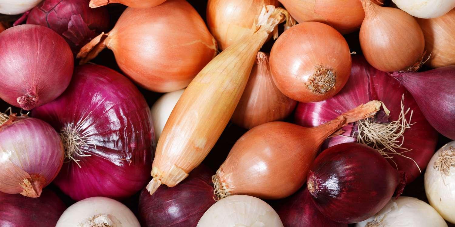shallots-vs-onions-difference-2x1-e5ebe6fe2c6e4d26a9d74361ccbffb3d-1.jpg