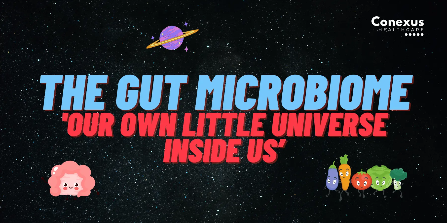 the-gut-microbiome-2.webp
