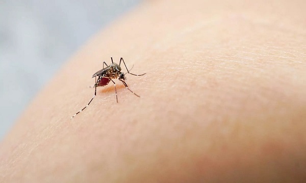 Debunking Popular Myths About Malaria in Nigeria